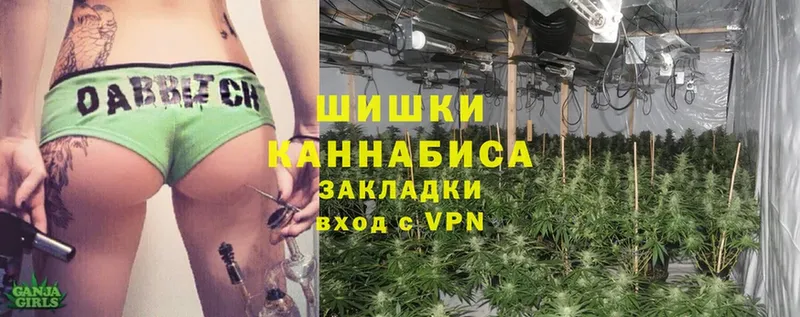 Бошки Шишки White Widow  Коряжма 